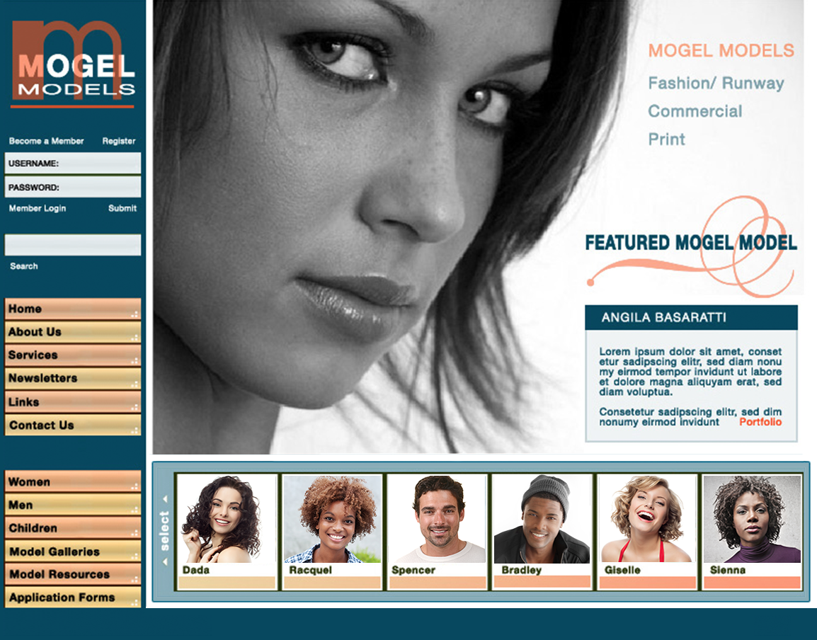 Webphotographix Homepage design Layout