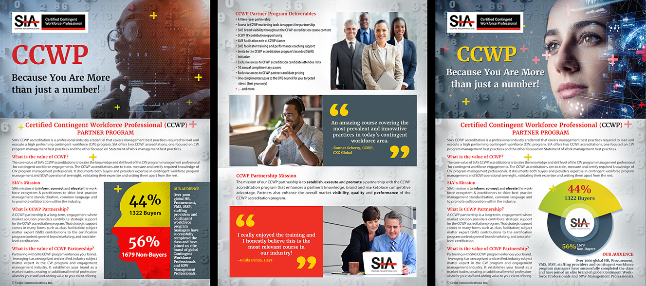 CCWP Brochure concepts