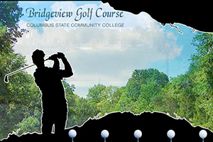 Webphotographix Homepage Design Layout - BRIDGEVIEW GOLF COURSE
