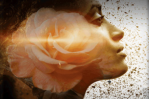 Webphotographix Online Advertisemment