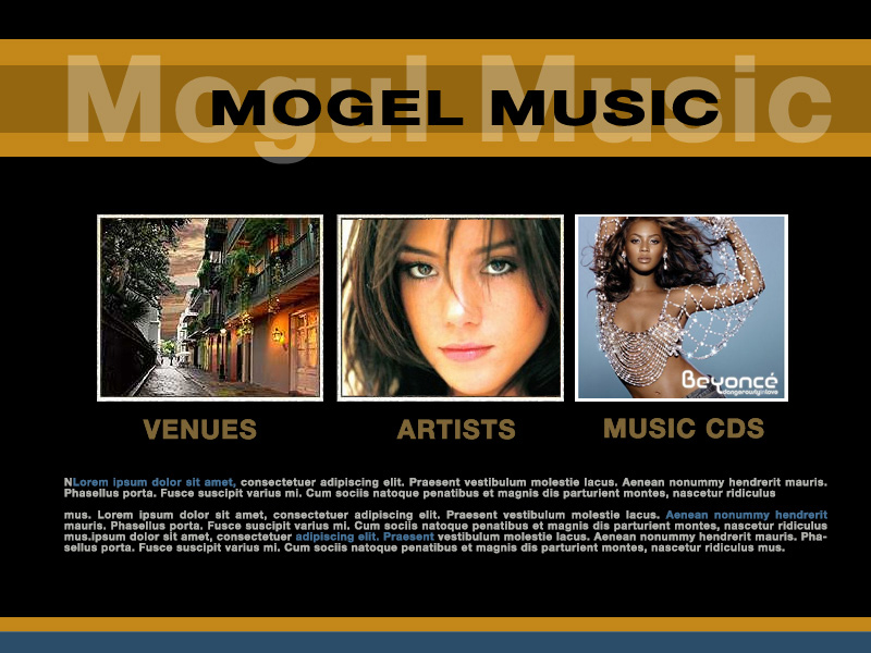 Webphotographix Homepage design Layout