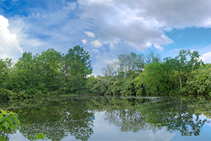 Photo Composite of 2 images