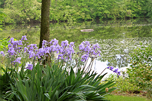 Photo Composite of 3 images