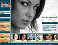 Webphotographix Homepage Design Layout